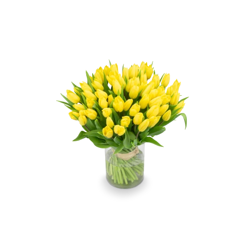 Kytice  tulipánů
